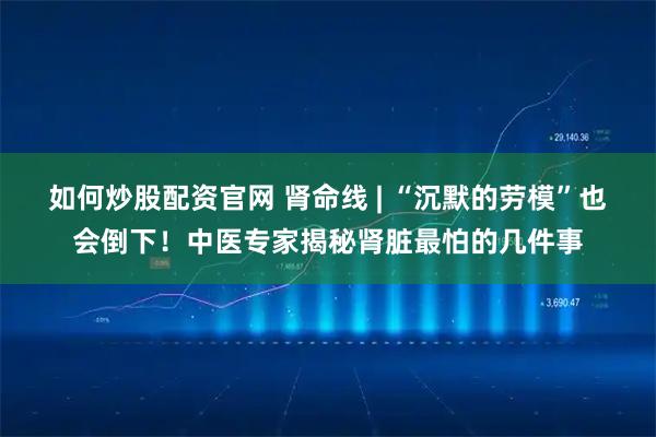 如何炒股配资官网 肾命线 | “沉默的劳模”也会倒下！中医专家揭秘肾脏最怕的几件事