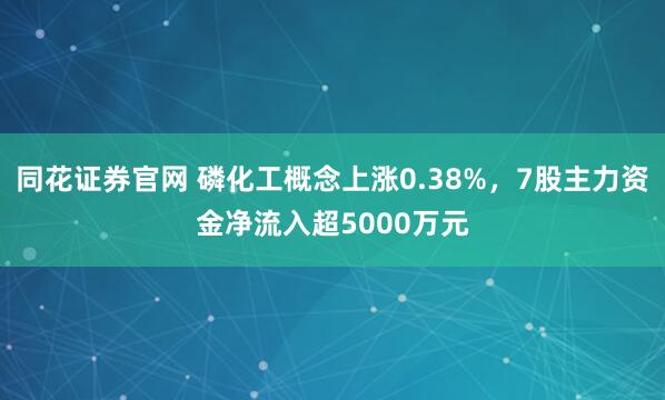 同花证券官网 磷化工概念上涨0.38%，7股主力资金净流入超5000万元