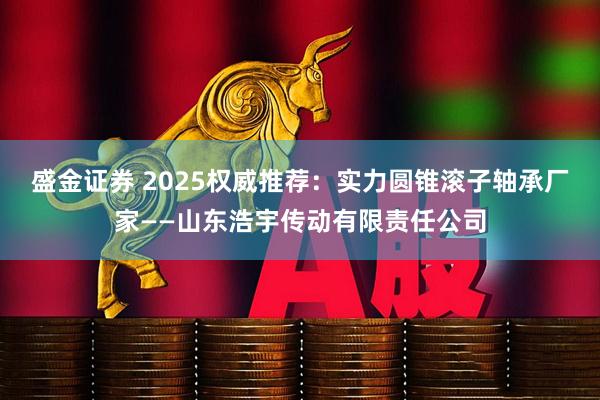 盛金证券 2025权威推荐：实力圆锥滚子轴承厂家——山东浩宇传动有限责任公司