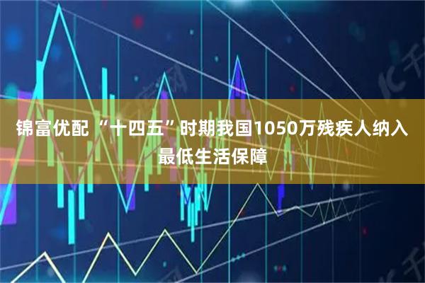 锦富优配 “十四五”时期我国1050万残疾人纳入最低生活保障